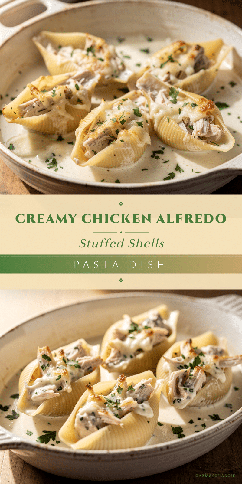 creamy chicken Alfredo stuffed shells recipe