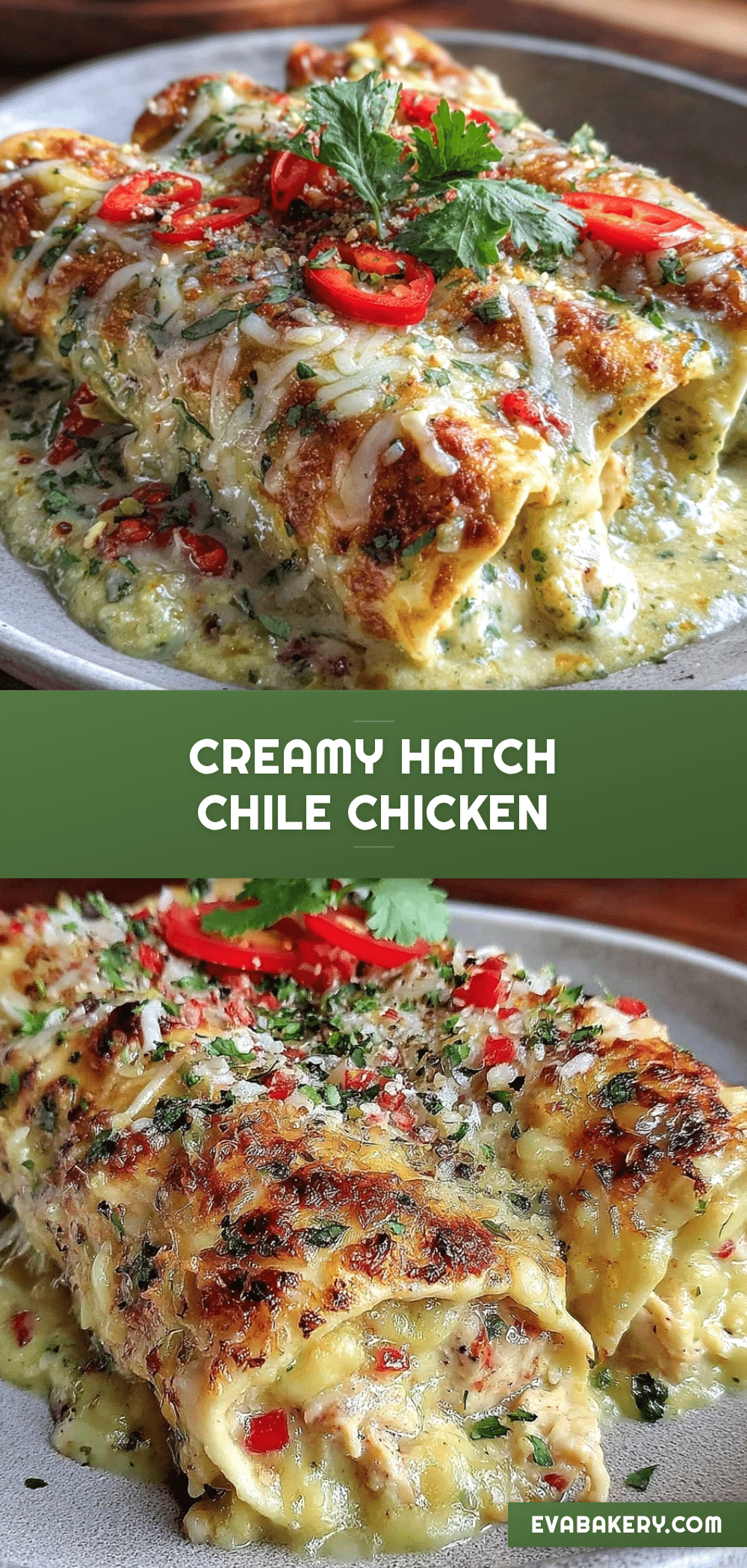 creamy hatch chile chicken enchiladas recipe