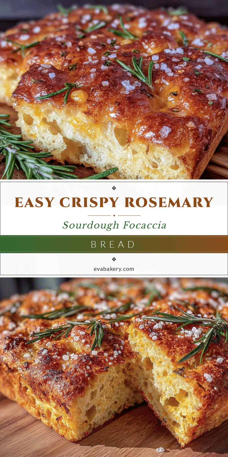 rosemary sourdough focaccia recipe