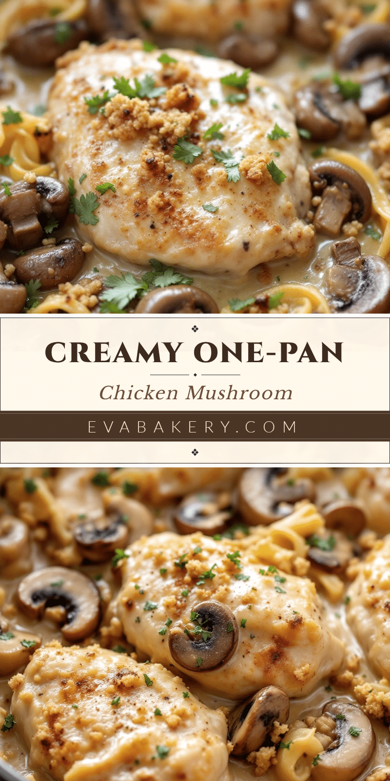 creamy one-pan chicken and mushroom skillet recipe