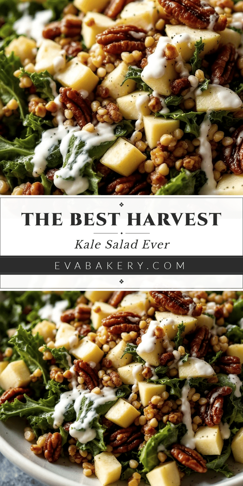 harvest kale salad recipe